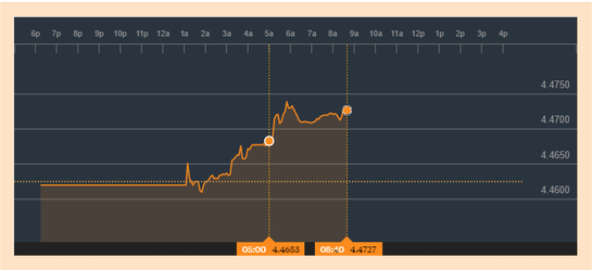 Piața valutară a sughițat ușor după promulgarea legii dării în plată