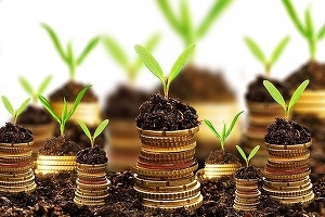 Banca Transilvania lansează compania BT Mic, dedicată finanțării afacerilor mici