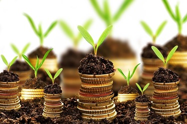 Banca Transilvania lansează compania BT Mic, dedicată finanțării afacerilor mici