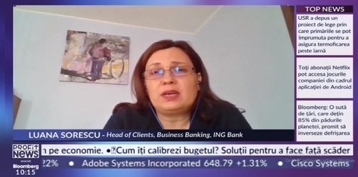 Videoconferința Profit.ro IMM - Sorescu, ING Bank: Apetitul pentru investiții a scăzut în această perioadă din cauza pandemiei, a incertitudinii politice și a creșterii prețurilor la energie
