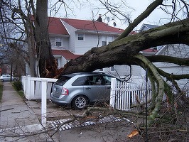 Fenomenele meteo modifică polițele de asigurare pentru locuințe. PAD va acoperi și pagubele produse de furtuni - proiect