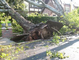 Costurile catastrofelor naturale, estimate la 250 de miliarde de dolari în 2021, potrivit companiei de reasigurări Swiss Re