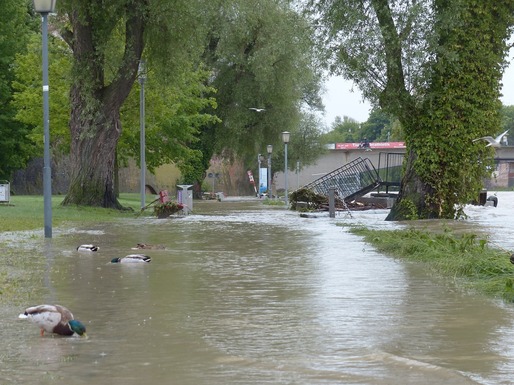 Despăgubirile achitate de asiguratori pentru refacerea locuințelor în urma dezastrelor naturale se ridică la 20 milioane euro, în decurs de 10 ani