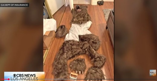 Fraudă în asigurări cu mașini de lux. Daune provocate în costum de urs