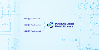 Licitație anulată la Distribuție Energie Electrică România pentru polița D&O destinată conducerii