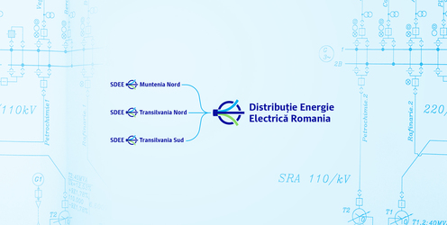 Licitație anulată la Distribuție Energie Electrică România pentru polița D&O destinată conducerii