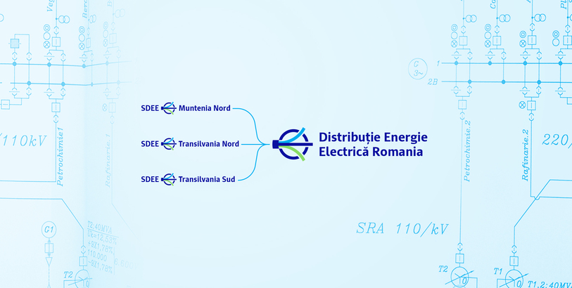 Licitație anulată la Distribuție Energie Electrică România pentru polița D&O destinată conducerii