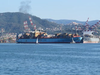 Cea mai mare companie europeană de shipping se pregătește pentru o nouă cădere a prețului petrolului