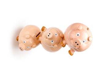 Biofarm aduce în pușculița a 3 SIF-uri 14,5 milioane lei sub formă de dividende