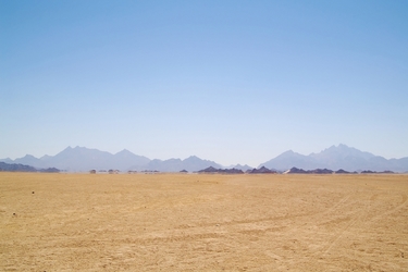 Setea după dividende creează primele miraje la BVB