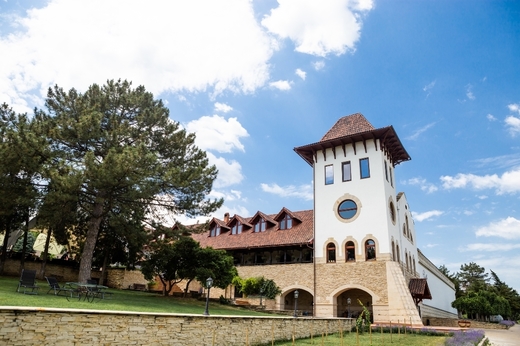Tranzacții cu 6,5% din acțiunile Purcari Wineries. 5% din titluri au "zburat" într-un singur schimb