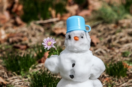 Fondul Proprietatea plimbă "Omul de zăpadă" până la primăvară și lansează propunere de dividend
