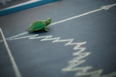 Volume mici la BVB. Intrare slabă în piață pentru ultimele emisiuni de titluri de stat