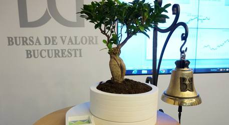 Alser Forest listează obligațiuni de 1,5 milioane euro