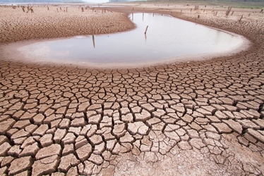 Într-un august torid, tot mai puțini investitori trec prin valea seacă de la BVB