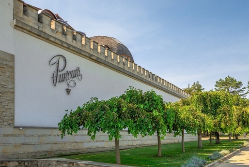 Crama Ceptura, deținută de Purcari Wineries, cumpără un producător de struguri din Dealu Mare, cu peste 72 hectare teren