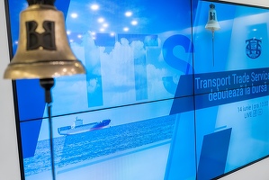 Transport Trade Services distribuie un dividend cu randament de 3%. Câți bani iau fondurile de pensii NN și fondatorii Dedeman