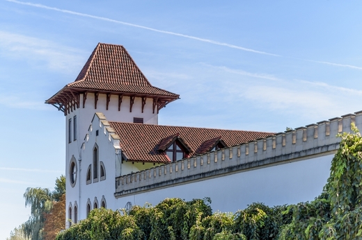 Cu o ascensiune de 7% a afacerilor pe România și o creștere cu 2 cifre a vânzărilor pe brandul principal, Purcari Wineries raportează profit sporit la T1