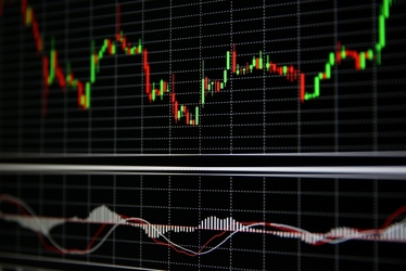 Bursa câștigă jumătate de procent într-o sesiune dominată de acțiunile cu profil financiar