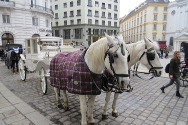 Pe primul loc în clasamentul tranzacțiilor bursei de la București – un client de la Viena