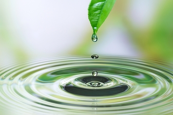 H2O – apă vie pentru bursă. Tranzacțiile cu acțiuni de la BVB urcă la peste 820 milioane lei, peste 90% din această activitate asigurată de noua "jucărie" Hidroelectrica
