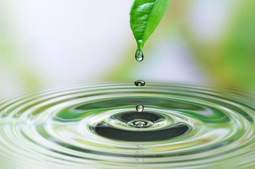 H2O – apă vie pentru bursă. Tranzacțiile cu acțiuni de la BVB urcă la peste 820 milioane lei, peste 90% din această activitate asigurată de noua "jucărie" Hidroelectrica