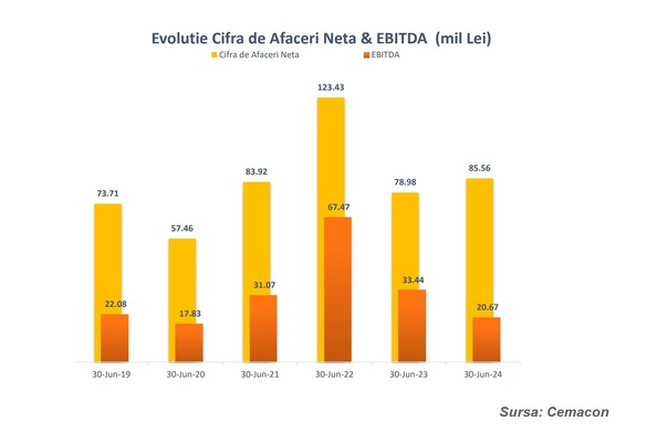 Cemacon, companie pentru care fondatorii Dedeman au inițiat procedura de delistare, raportează o cădere drastică a profitului net la S1