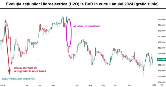 GRAFICE Povestea Hidroelectrica, Digi, ONE United, OMV Petrom, MedLife, Banca Transilvania în anul bursier 2024. Dezamăgiri pansate cu bani de la stat. Fondurile de investiții, la active-record. Piața obligațiunilor municipale - o relansare care s-a fâsâit