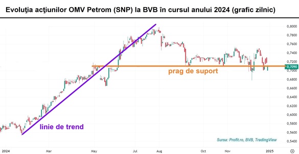 GRAFICE Povestea Hidroelectrica, Digi, ONE United, OMV Petrom, MedLife, Banca Transilvania în anul bursier 2024. Dezamăgiri pansate cu bani de la stat. Fondurile de investiții, la active-record. Piața obligațiunilor municipale - o relansare care s-a fâsâit