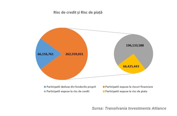 Transilvania Investments Alliance are Strategie de Exit. Care sunt cele 30 de societăți din care fosta SIF Transilvania vrea să iasă