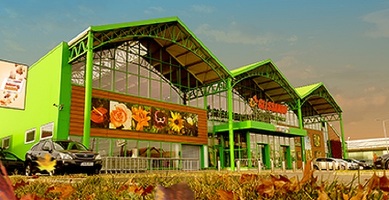 Glissando Garden Center – triplare a profitului net la S1