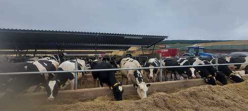 DN Agrar – dublare a profitului net la 9 luni. Așteptări ridicate legate de ferma de la Straja