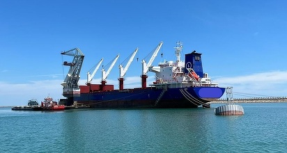 Bani pentru fondatorii Dedeman și viitorii pensionari. Transport Trade Services distribuie aproape jumătate din profitul net al anului trecut sub formă de dividende