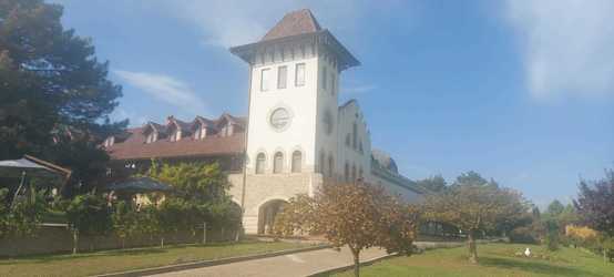 Vânzările Purcari au scăzut în prima jumătate a anului