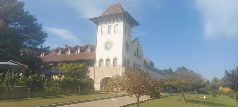 Vânzările Purcari au scăzut în prima jumătate a anului