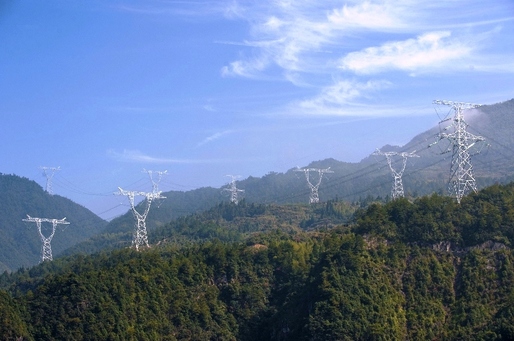 Transelectrica și distribuitorii de energie vor putea ocupa gratuit terenuri publice, inclusiv păduri
