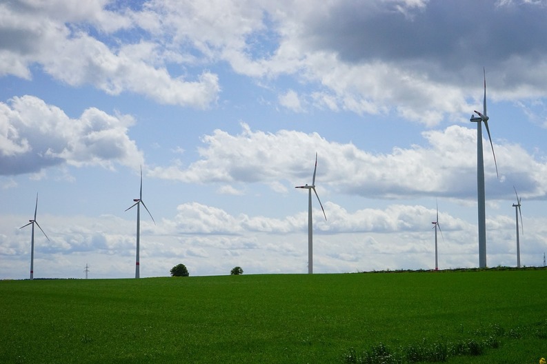 Germania are atât de multă energie regenerabilă încât trebuie să îi plătească pe consumatori să o utilizeze