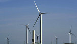 RECORD Parcurile eoliene au produs în ultimele zile o pătrime din electricitatea consumată, peste cea din hidrocarburi sau cărbune