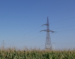 E-Distribuție Dobrogea a investit 1,7 milioane lei pentru modernizarea a 9 linii electrice aeriene de înaltă tensiune din Călărași, Ialomița, Tulcea
