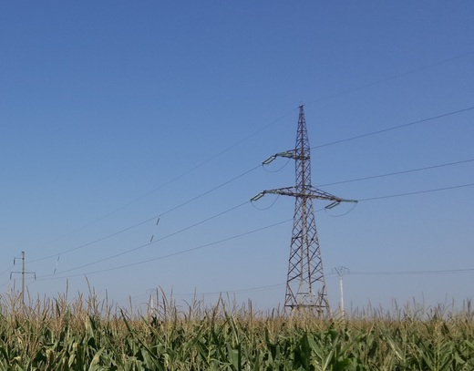 E-Distribuție Dobrogea a investit 1,7 milioane lei pentru modernizarea a 9 linii electrice aeriene de înaltă tensiune din Călărași, Ialomița, Tulcea