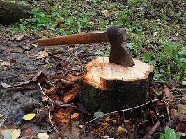 Parlamentul permite companiilor miniere să scoată terenuri din fondul forestier fără a reîmpăduri în compensare alte suprafețe