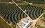 EXCLUSIV VIDEO Tranzacție: Unul din cele mai mari parcuri fotovoltaice din România \