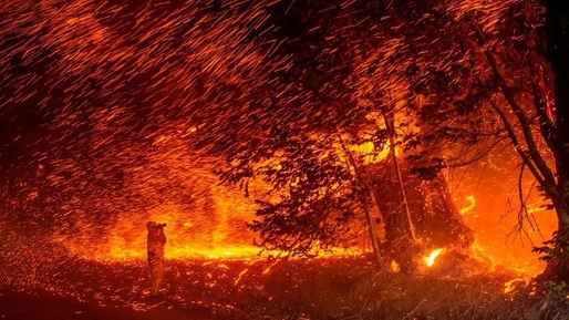 Acord de 13,5 miliarde de dolari între un producător de energie și victimele incendiilor de vegetație provocate de acesta 