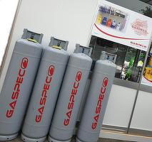 Undă verde: Gaspeco L&D, controlată de mama lui Cristi Borcea, preia Panebo