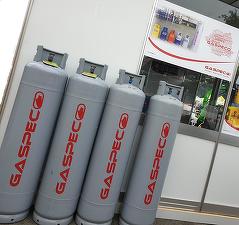 Undă verde: Gaspeco L&D, controlată de mama lui Cristi Borcea, preia Panebo