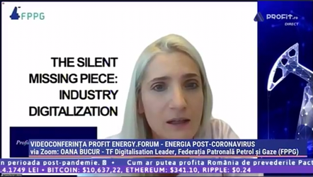 PROFIT ENERGY.FORUM Oana Bucur, FPPG: Petroliștii cer declasificarea unor documente de lucru, pentru facilitarea digitalizării