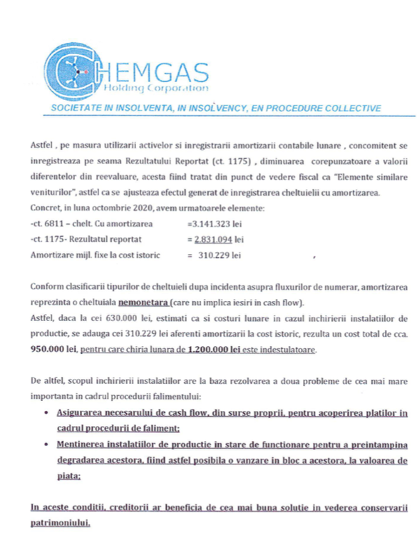 DOCUMENT Statul refuză continuarea producției Chemgas Holding al lui Ioan Niculae prin închirierea activelor combinatului către o firmă controlată indirect de Petrică Buduru