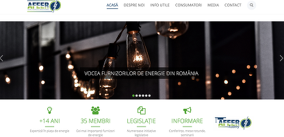 Furnizorii de gaze vor fi reprezentați de organizația profesională a furnizorilor de electricitate, AFEER, care a decis să-și schimbe numele