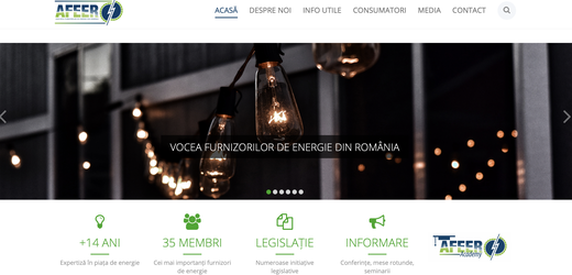 Furnizorii de gaze vor fi reprezentați de organizația profesională a furnizorilor de electricitate, AFEER, care a decis să-și schimbe numele