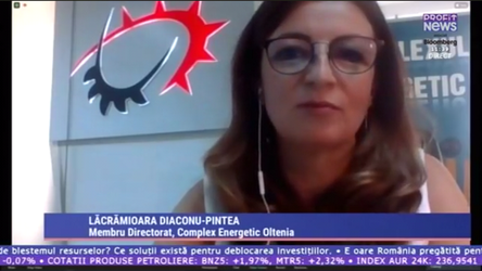 Profit Energy.forum - Lăcrămioara Diaconu-Pințea, CE Oltenia: Restructurarea și decarbonarea Complexului - Discuții cu aproape 10 bănci, plus o instituție financiară internațională, precum și cu un număr mare de potențiali investitori